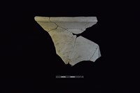 藏品(陶罐)的圖片